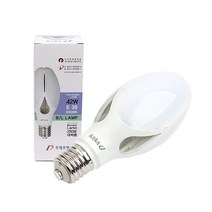 두영 LED BL 램프 42W E39 주광색