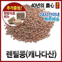 자애인 렌틸콩 500g 캐나다산 렌즈콩 슈퍼푸드 슈퍼곡물, 1개