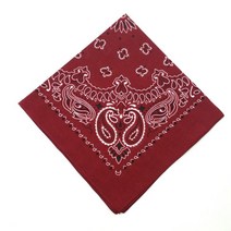 아이원더 무배 54cm 정사각 반다나 페이즐리 스카프