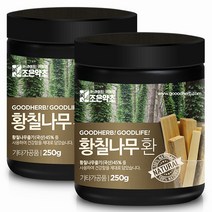 조은약초 프리미엄 황칠나무 환 250g x 2개