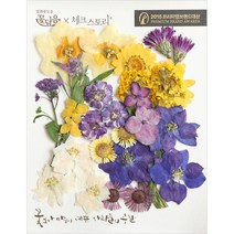 체크스토리 압화꽃모음 압화 공예 압화편지 드라이플라워, A_01_퍼플옐로우
