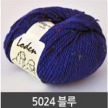 아실닷컴 로덴, 5024 블루