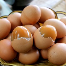 전용국님 무항생제 동물복지 유정란 구운란, 20구