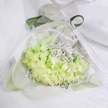 영하우스 프리저브드플라워 수국 꽃다발 생일 축하 기념일 졸업 선물, 그린+축하합니다(스티커)