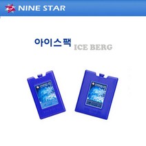 노스베어 아이스박스 아이스버그, 블루, 550cc
