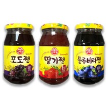 예이니식품 오뚜기 포도+딸기+블루베리쨈 인기3종 각1개씩 세트(3개x500g) 과일, 500g, 3개