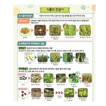[사이언스몰] 식물의한살이 미니북[5인용], 5인용