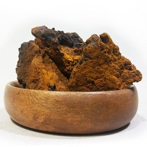 차가버섯 아가리쿠스버섯 운지버섯 말굽버섯 목이버섯, 차가버섯 300g