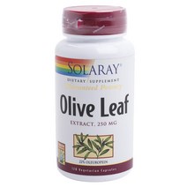 솔라레이 올리브 잎 추출물 250mg 22% 올레유러핀 베지테리안 캡슐, 120개입, 1개