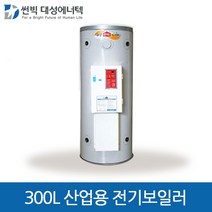 대성에너텍 산업용 축열식 전기보일러 300L, DBE-30C