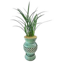 플라워리퍼블릭 개업화분 개업식 공기정화식물 관엽식물 전국꽃배달, 철골소심투각분, 1개