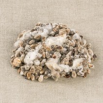 파워푸드 국산 목화씨(면화자) 100g 마른 건조 약초 약재 한방차, 16GB_국산목화씨(면화자)100g