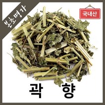 본초명가 곽향 광곽향 한방차, 1개, 300g