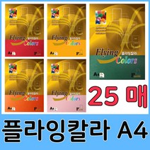 삼원특수지 플라잉칼라 A4 25매 모음, 18.P20주황색