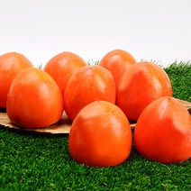 누리원 달콤한 햇 대봉 대봉감 곶감용감 홍시감 3kg 5kg 10kg, 1박스, 중소과 5kg (21-25과 내외)
