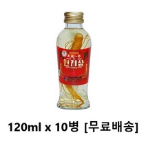 사랑주는쇼핑몰 제일종합식품 원기삼 120ml x 10병