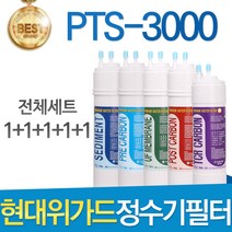 현대위가드 PTS-1000 고품질 정수기 필터 호환 전체세트, 선택01_전체세트(1+1+1+1+1=5개)