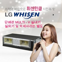 [LG전자] RNW2300B2S (60평형) 시스템에어컨 천장형에어컨(실외기별도/2대이상설치가능)
