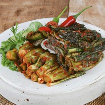 우체국쇼핑 전주찬방 갓김치, 5kg, 1개
