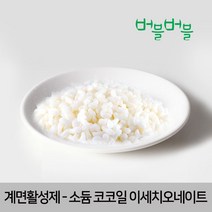 버블버블 소듐코코일이세치오네이트(ELFAN84), 03. 소듐코코일이세치오네이트(ELFAN84)_500g