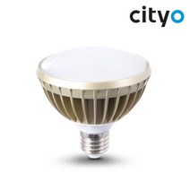 씨티오 PAR30 확산형 15W LED 전구, 주광색, 1개