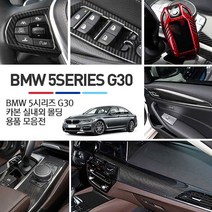 BRICX BMW 5시리즈 G30 카본 실내외 패널 기스방지 보호 커버 몰딩, 22 - 카본하이브리드 키케이스 (블루) - 키링 (블루)
