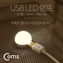 야외용 USB LED 전구/USB램프/스마트폰 충전기 보조배터리 사용, 1개