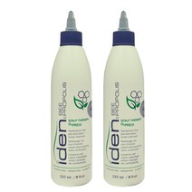 아이덴 비 프로폴리스 프레비 두피 피지제거 딥클렌징 앰플, 2개, 300ml