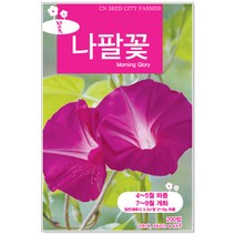 청농 나팔꽃씨앗 200립 꽃씨앗, 1개