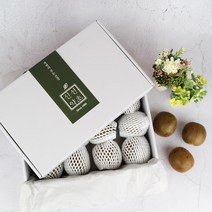 신선약초 나한과 1박스 (12과)