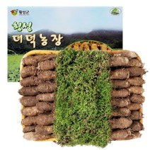 횡성더덕농장 농가직거래 횡성더덕 선물세트(특4호), 1개, 선물세트 특2.5kg
