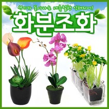 호가 화분조화 호접란 장미 인테리어 조화 화분 장식, 토피어리 화분조화-C형타입3