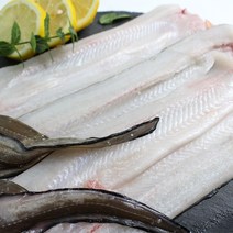 친환경팔도 [산지직송] 흑산도 바다장어 (중)1kg (대)1kg