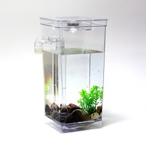 미스터마켓 LED 자동청소어항 미니어항 자동물갈이 물고기 구피 열대어 수조 수족관 어항, 투명