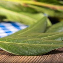 아로마케이 에센셜오일 EO 30ml 비누 화장품 오일 비누만들기재료, 팔마로사오일30ml