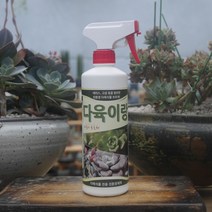 다육이랑, 1개