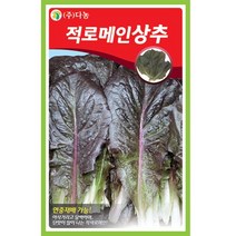 갑조네 잎줄기채소 씨앗 모음, 적로메인상추(씨앗), 1개