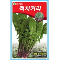 갑조네 잎줄기채소 씨앗 모음, 적치커리(씨앗), 1개