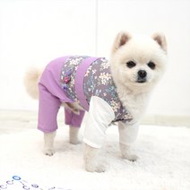 패리스독 반려동물 신사한복 바지, 바이올렛