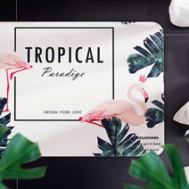 규조토 북유럽풍 발매트, 10.선인장 M 발매트