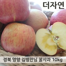 영양사과 경북 영양 꿀부사 사과 10kg 최상품, 10kg 50-53과