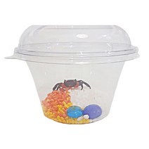 아이사이언스에듀 도둑게 키우기 미니세트(사료미포함) 2개, 1세트