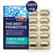 노블 더베스트 유산균 프리 프로 생유산균 비피더스균 신프로 바이오틱스 프락토올리고당 500억 유익균 투입 캡슐, 500.1mg, 2box