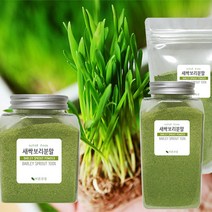바른건강 프리미엄 농축 보리새싹추출가루 새싹보리추출분말 100% 보리순추출분말 추출물, 140g, 1개