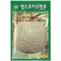 씨앗 멜론 얼스초이스멜론 5립