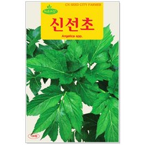 청농종묘 양상추 씨앗 200립 상추씨 상추씨앗 채소씨앗, 21_신선초(100립 )