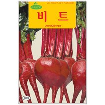 청농종묘 곰취 씨앗 100립 곰치 곰피 곰취나물 취나물 곰취씨, 02_비트(200립)