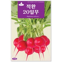 청농종묘 냉이 씨앗 5000립 냉이씨 봄나물 달래 나물 씨, 08_적환20일무(600립)