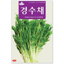 청농종묘 도라지 씨앗 4000립 도라지씨앗 도라지씨 산나물 씨, 25_경수채(15g)