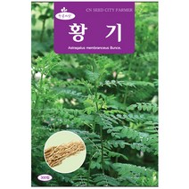 청농종묘 완두콩 씨앗 200립 완두콩씨 완두콩씨앗 콩씨, 24_황기(300립)